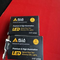 Front Signal Light Bulbs 