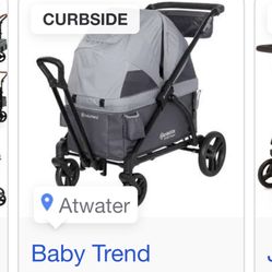 Wagon Stroller 