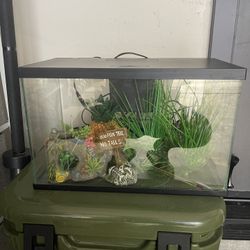 Fish Tank With Supplies & Accessories 