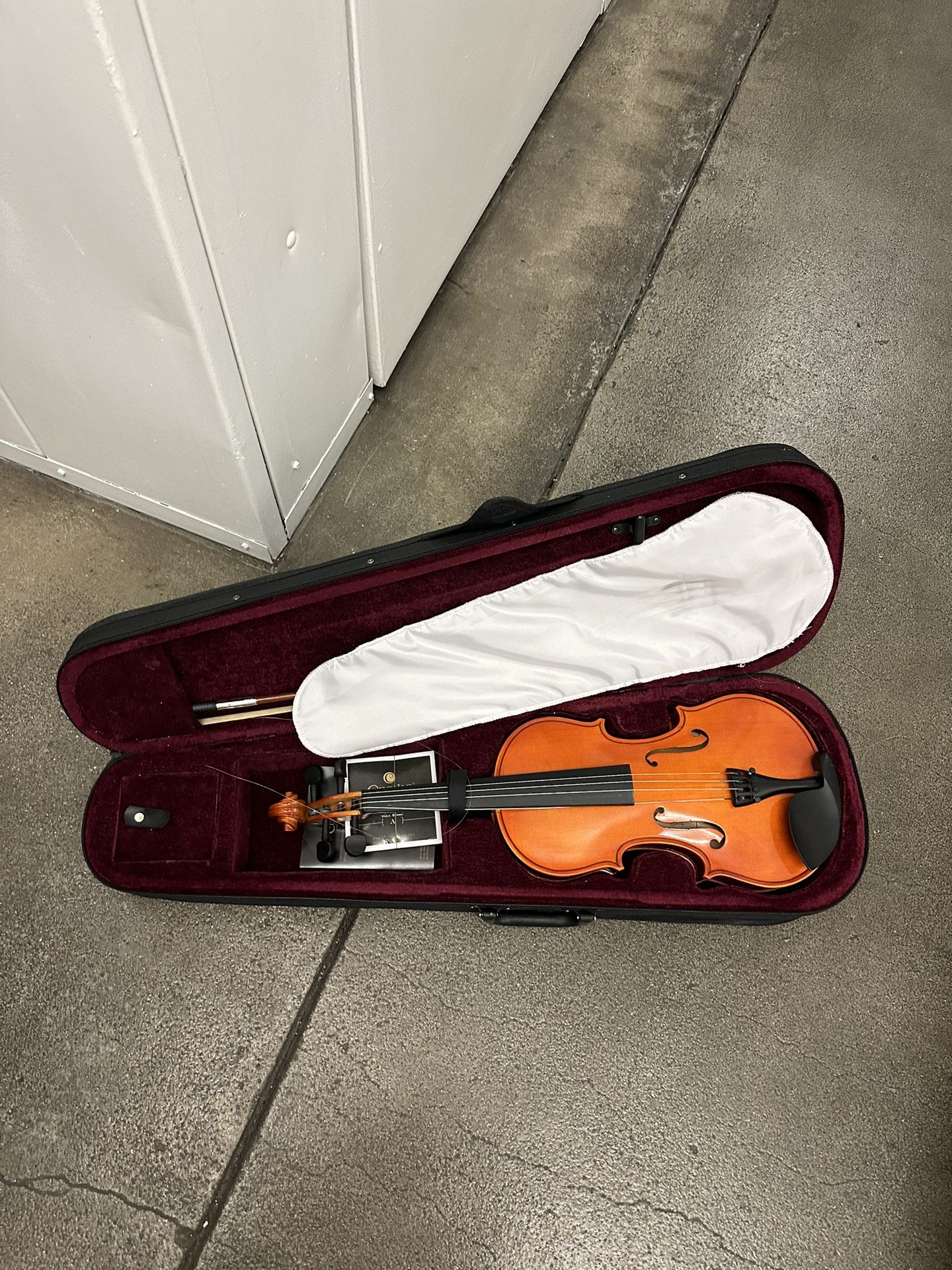 Violin With Case