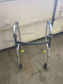 Two wheel walker