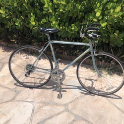 XL Schwinn Road Bike 