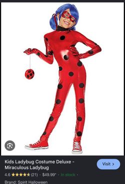 Ladybug Costume