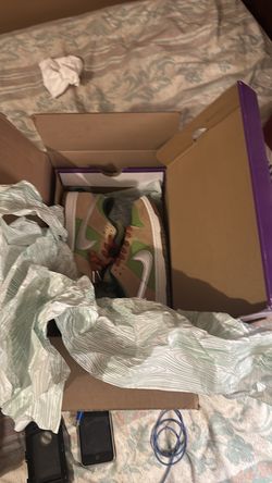 Nike sb dunk low pro $240 sz 10