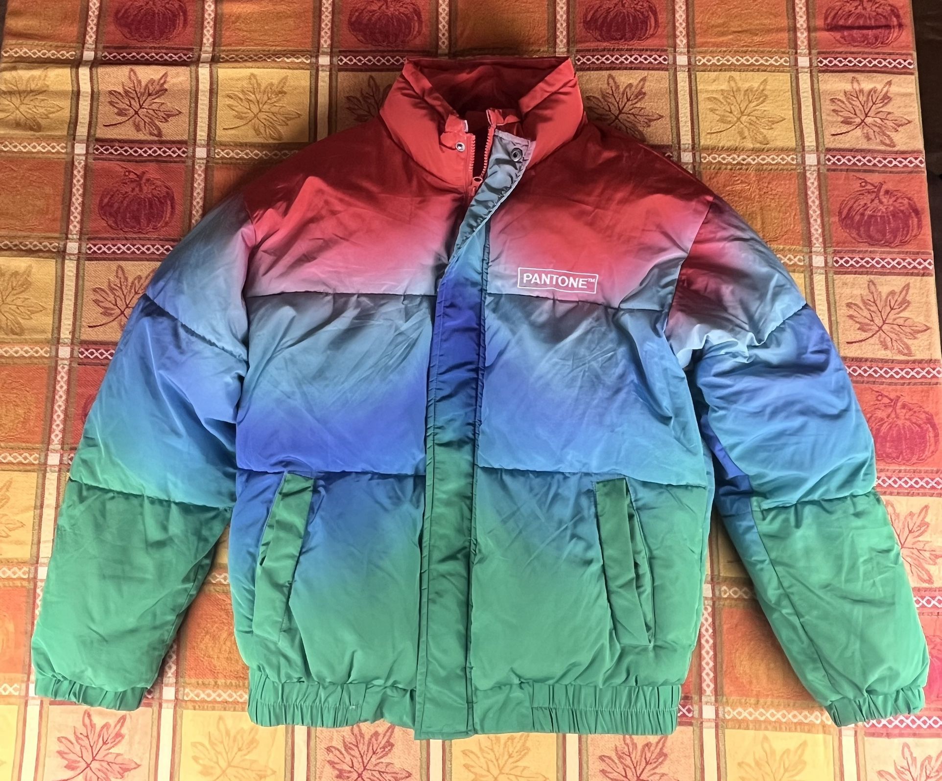 Pantone x Forever 21 Men's Rainbow Ombre Full Zip Puffer Jacket Size S