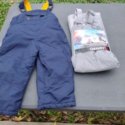 3 T Snow Bibs 