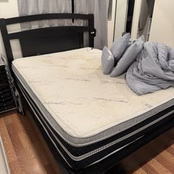 Bed For Sale (mattress, Box Spring, Frame And Headboard )