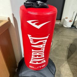 Brand New everlasting Punching Bag With Never Worn Gloves 