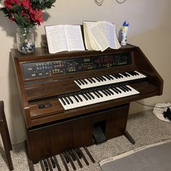 Organ