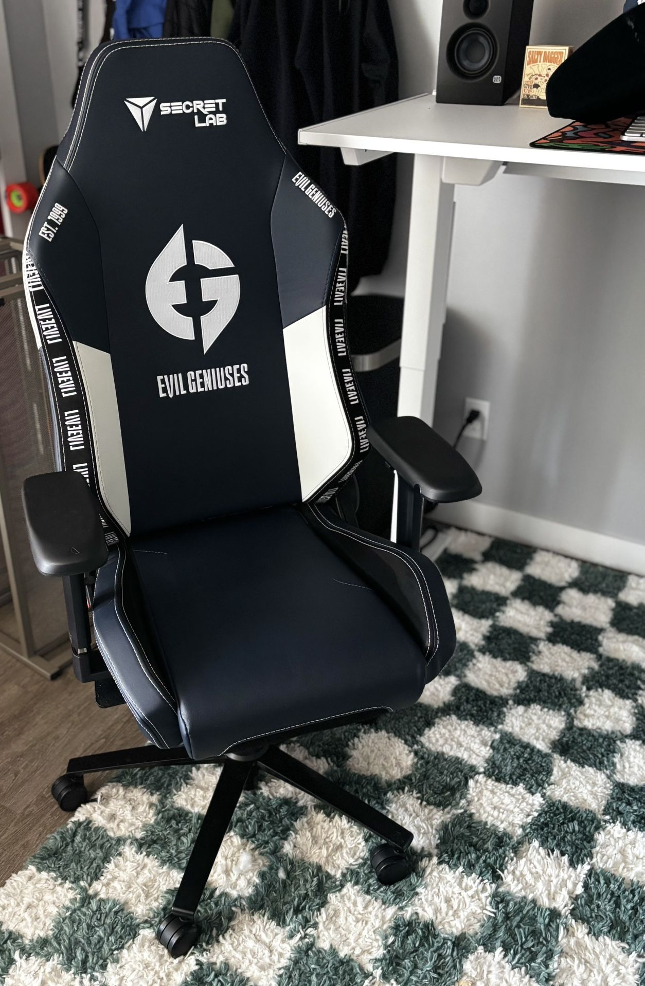 Secret Lab Titan gaming chair