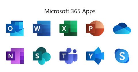 Office 365 online or professional