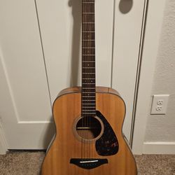 Yamaha Acoustic Guitar & Accessories 