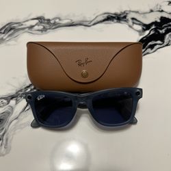 Ray Ban Meta Wayfarer Transparent Grey Polarized lens