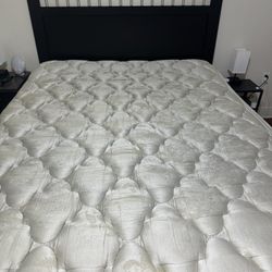 FREE Queen Mattress/ Bed Frame