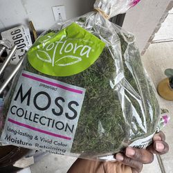 Free items (please message)