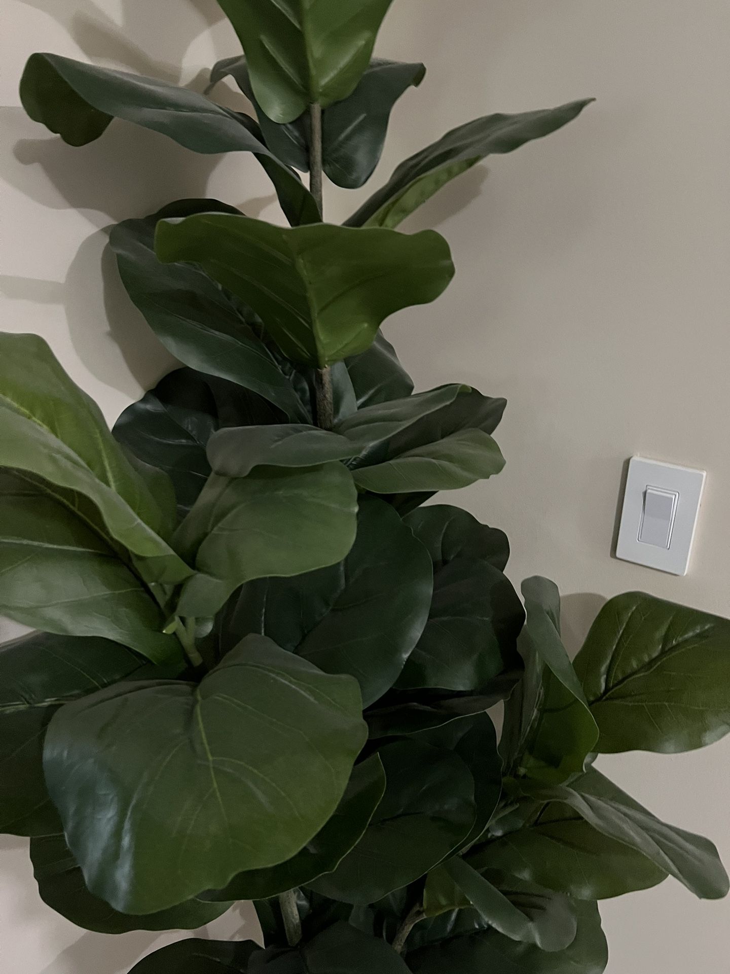 Artificial Fiddle Tree Free Decor Basket Make By Grass