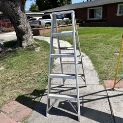 Ladder 5 Ft