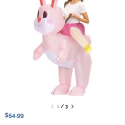 Inflatable Costume