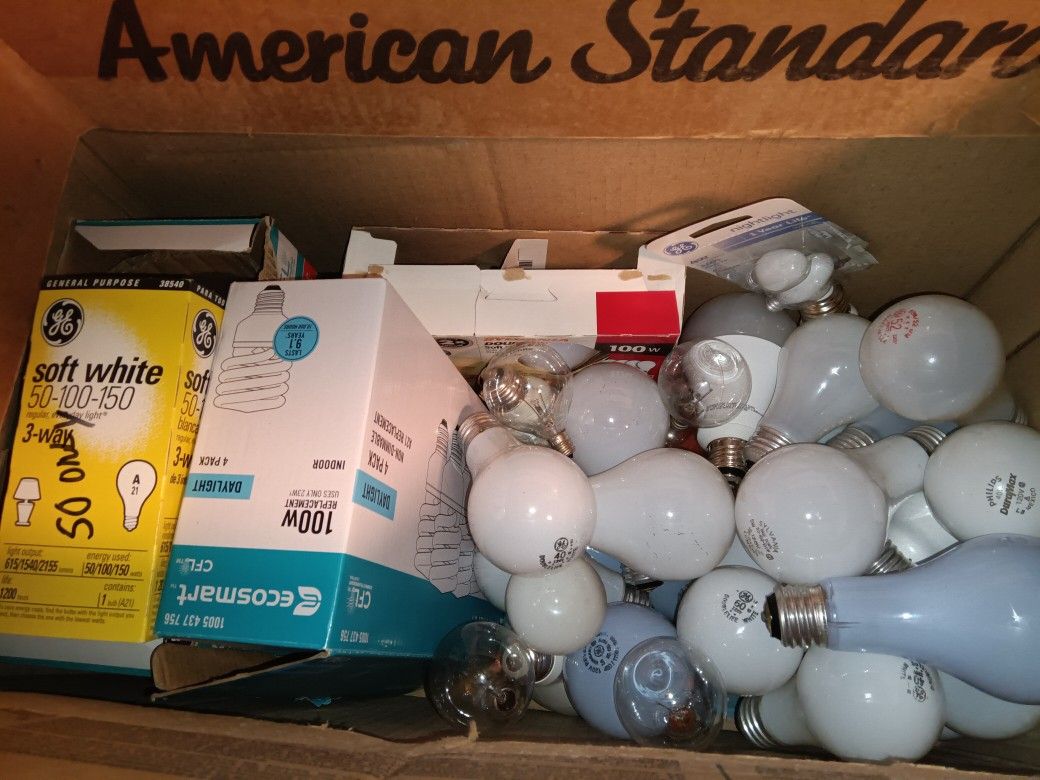 Light Bulb Lot