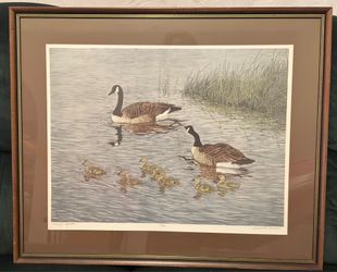 1981 Signed Limited Edition Gerald Lubeck Framed Wildlife Print with COA