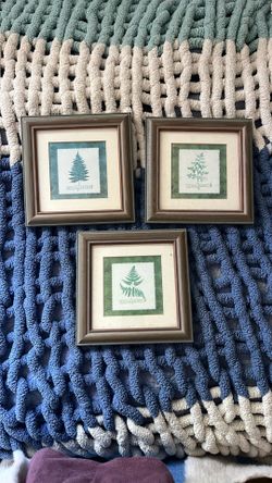Nice Trio - Framed Watercolor Prints