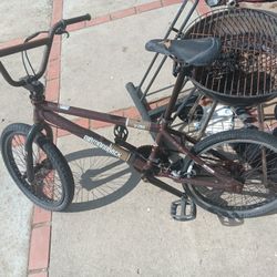 20 Inch Diamondback Bmx Skindog Model