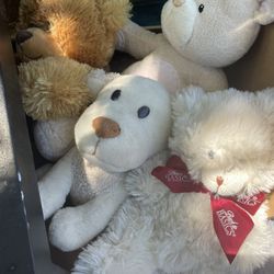 Stuffed Animals 