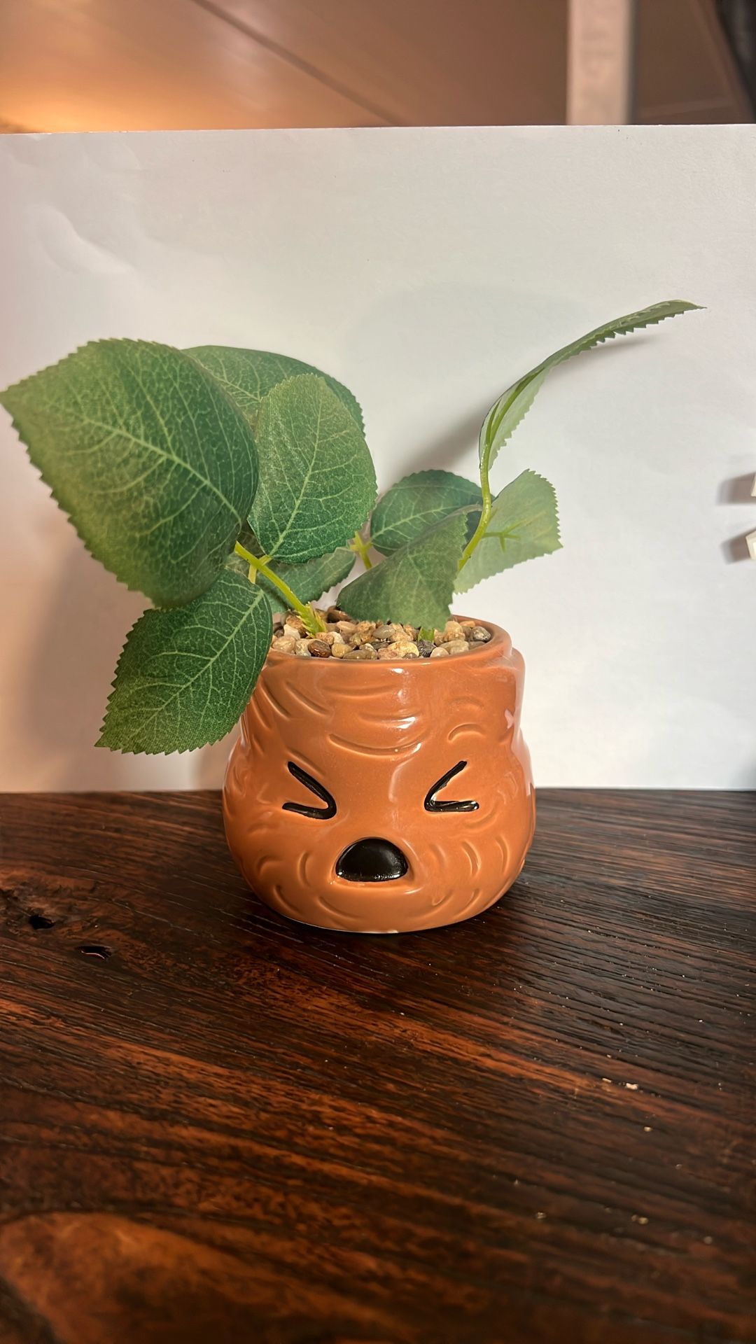 Harry Potter Mandrake mini planter