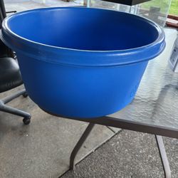 Koi Viewing Bowl
