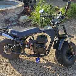 Coleman RB200 Predator Hemi 212cc Mini Bike