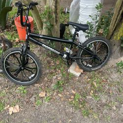 Mongoose Bike