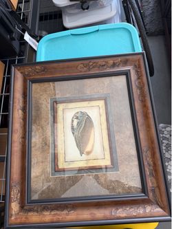 Sea shell picture in great condition