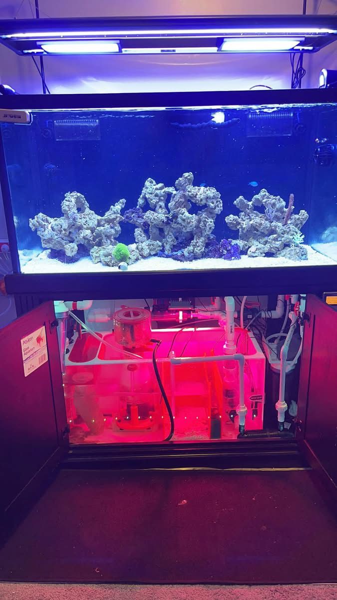 Complete 120G Reef Tank Setup - $6000 (Valued Over $20,000!) Everything You Need – Turnkey System –Equipment, and More!