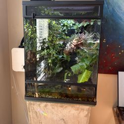 Aquarium and Supplies 