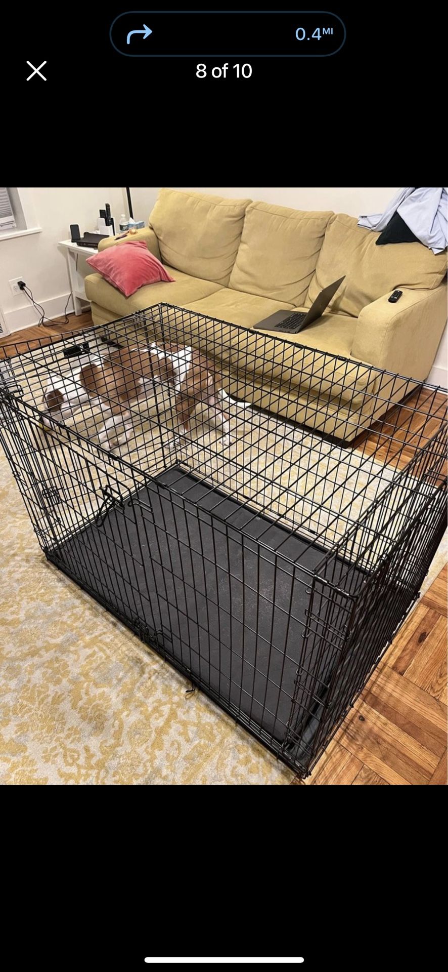 Dog Crate XL