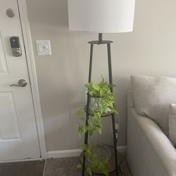 Standing Lamp