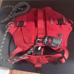 Dog Collar With Leash