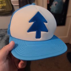 Dipper Pines Gravity Falls Disney Hat 