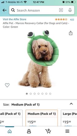 Alfie pet Recovery Collar-Size medium