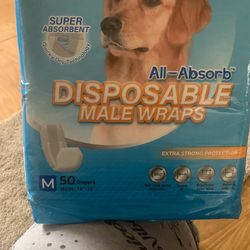 Male wraps dog