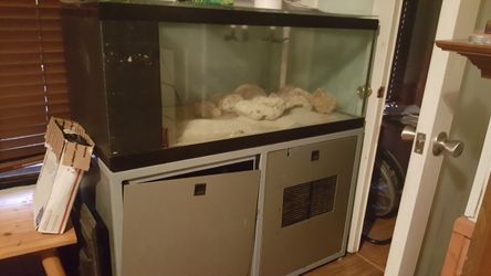 125 gallon fish tank