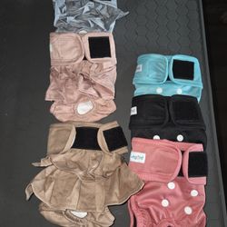Diapers For Dogs / Puppies !