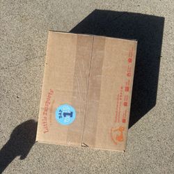 Little Passports Children’s Activities