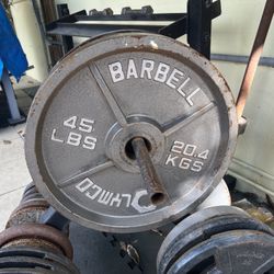 45 Lbs Pair Cast Iron Weight Plates