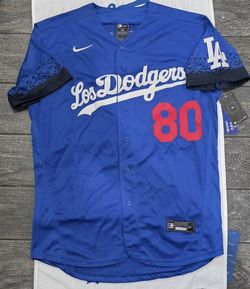 Los Angeles Dodgers Stitched MISTAKE jersey