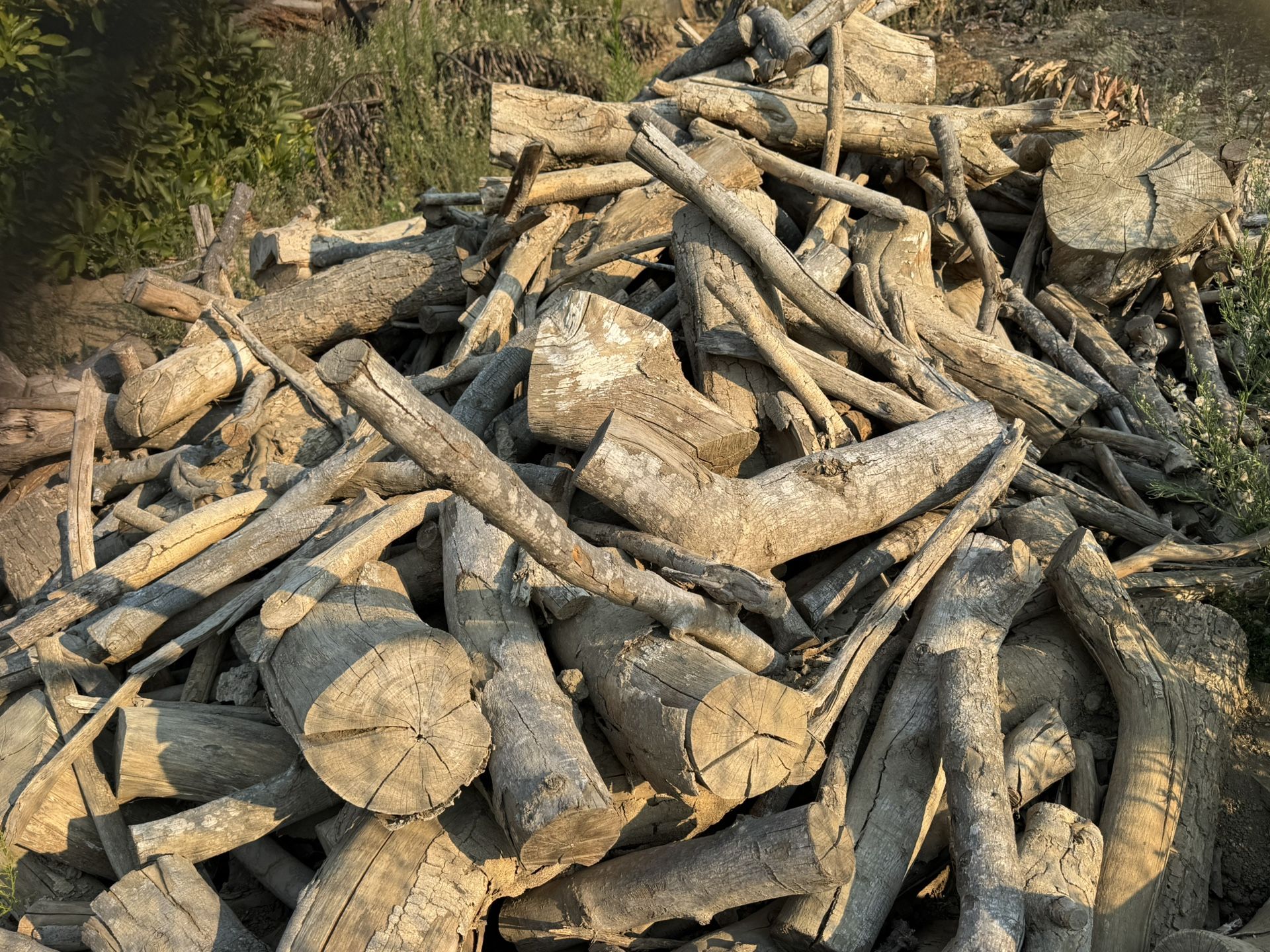 Firewood