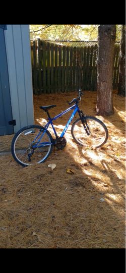 Bike ( Needs Repair)