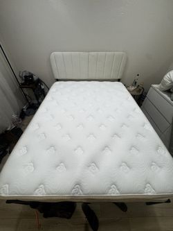 Queen Mattress Only