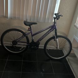 Huffy Girl 20 Inch Bike