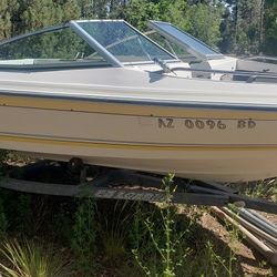 FREE SEARAY 16' RUNABOUT SKI & BASS